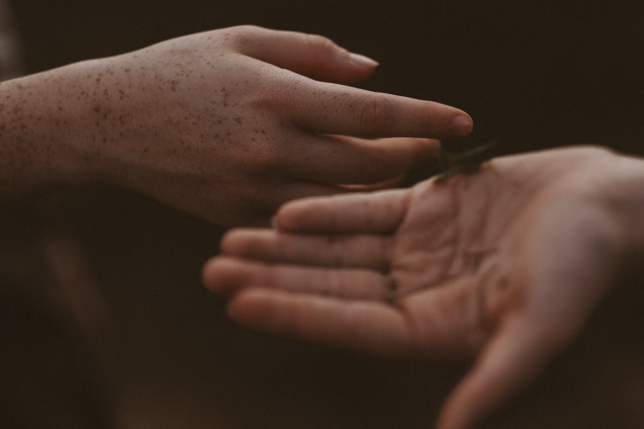 Close detail of hands in warm low light
